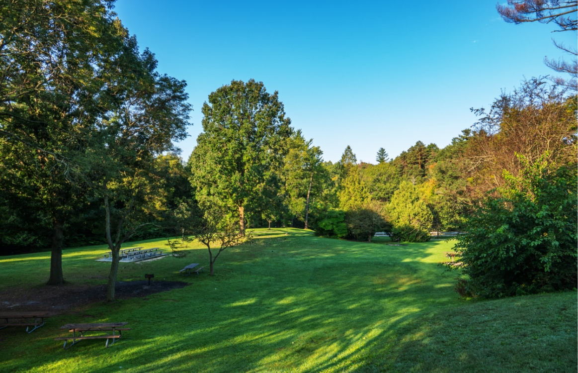 Sunnybrook Park